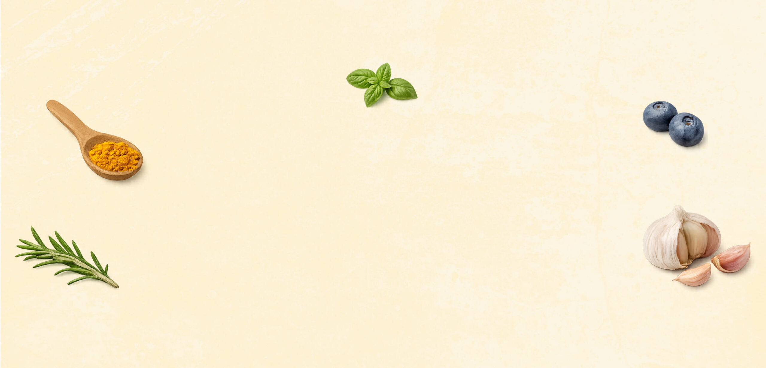 Nyssa Hartwood Healing Meals